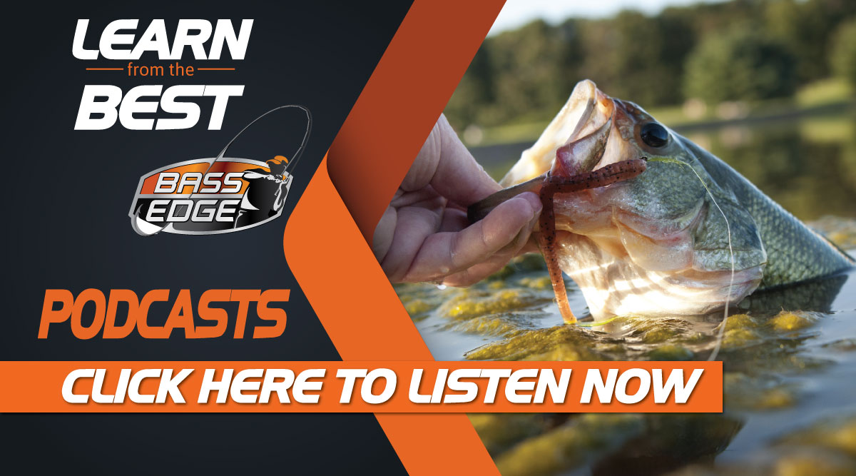 Bass Edge Radio Podcasts